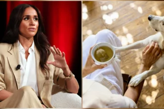 Meghan Markle Heartwarming Moment