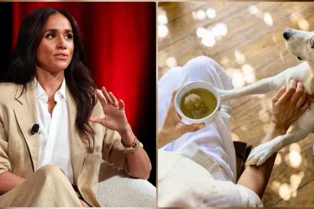 Meghan Markle Heartwarming Moment
