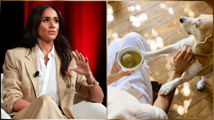 Meghan Markle Heartwarming Moment