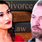 Nikki Garcia and Artem Chigvintsev Excel at Co-Parenting 8 Months After Divorce Drama
