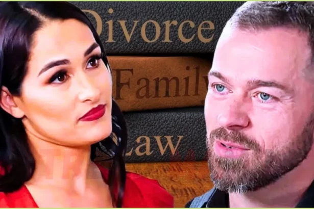 Nikki Garcia and Artem Chigvintsev Excel at Co-Parenting 8 Months After Divorce Drama