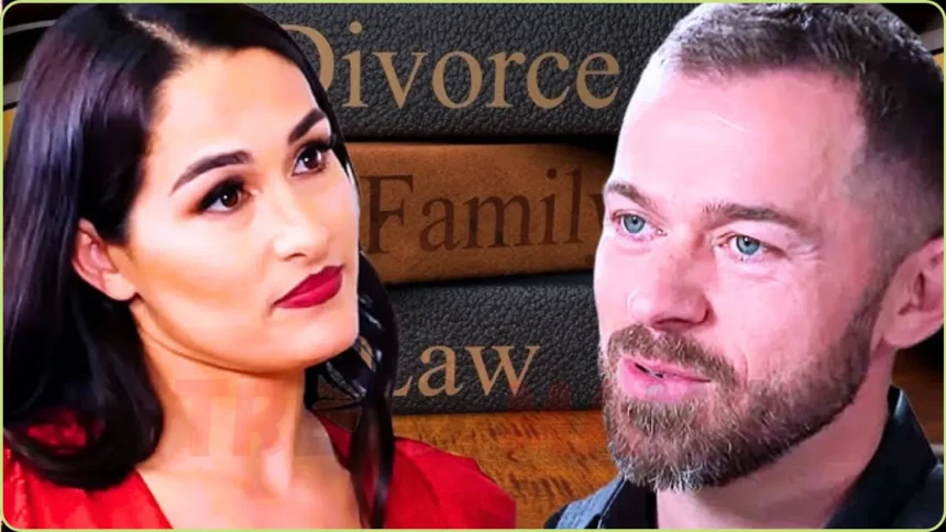 Nikki Garcia and Artem Chigvintsev Excel at Co-Parenting 8 Months After Divorce Drama