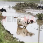 South Korea Reels from Deadly Floods and Landslides