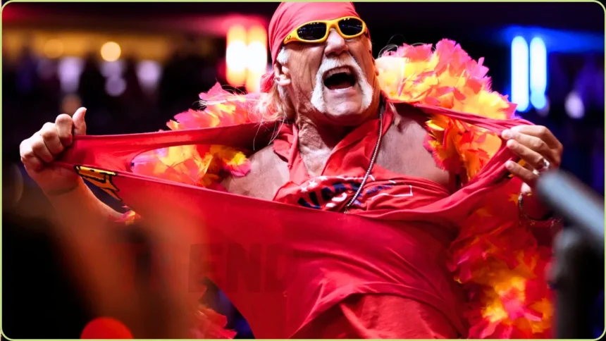 Hulk Hogan Wrestling Icon and Pop Culture Legend Dies at 71