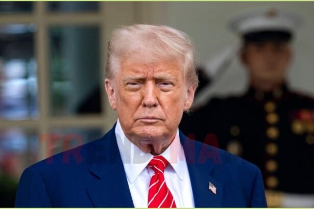 Nobel Peace Prize 2025: Record 338 Nominees Vie for Prestigious Honor.