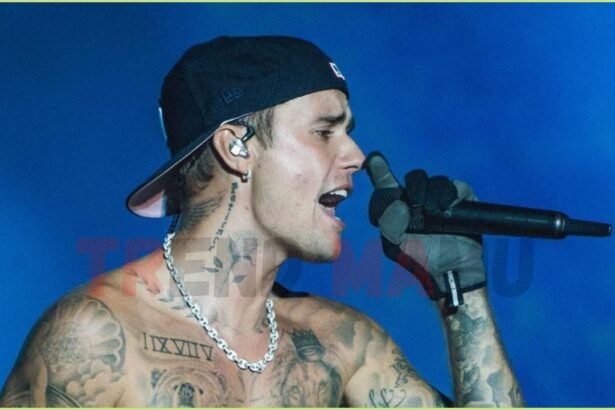 Justin Bieber Surprise Album Swag