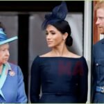Prince Harry Alleged Betrayal of Queen Elizabeth