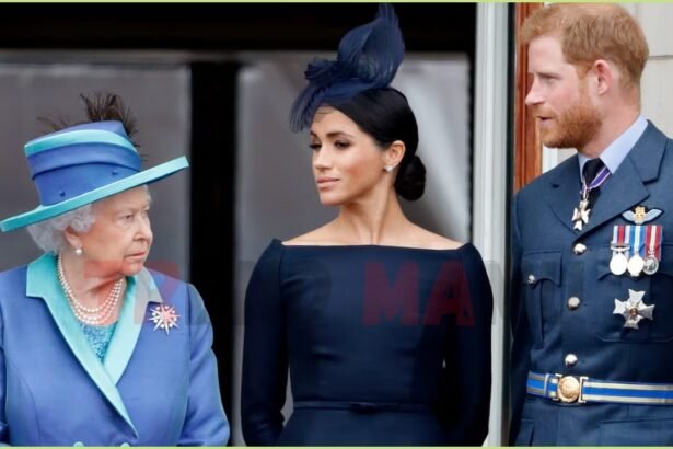 Prince Harry Alleged Betrayal of Queen Elizabeth