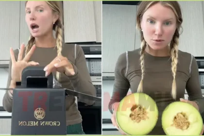 $300 Melon Taste Test Goes Viral: Is It Worth the Hype?