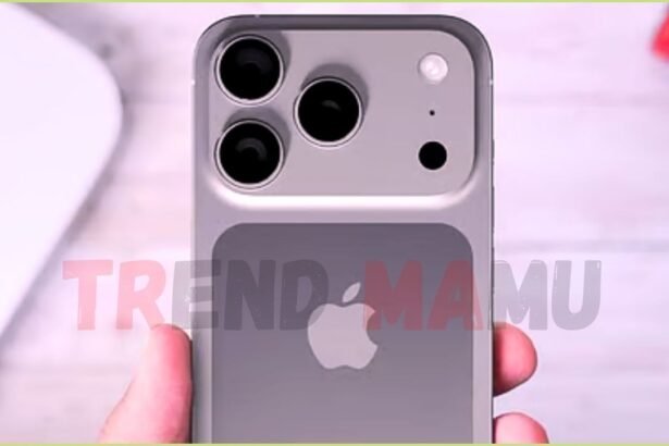 iPhone 17 Pro Max Battery