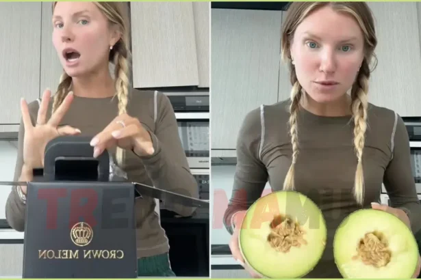 $300 Melon Taste Test Goes Viral: Is It Worth the Hype?