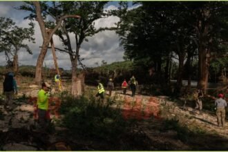 Texas Floods Claim 120 Lives as Families Await News of 173 Missing