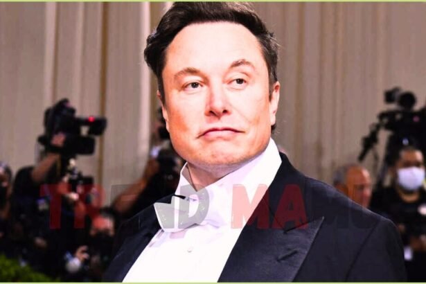 Elon Musk Launches New Political Party