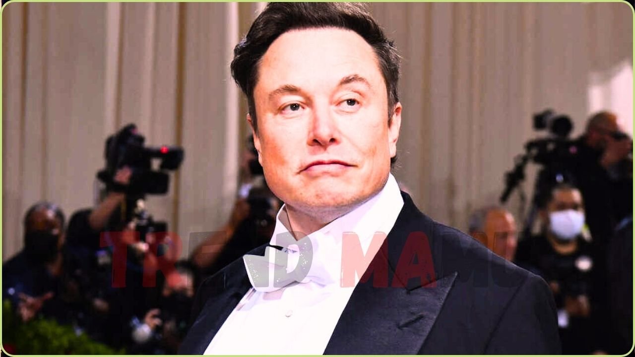 Elon Musk Launches New Political Party