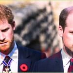 Prince William Urged to Follow Danish Royals to Handle Harry Royal Exit