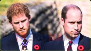Prince William Urged to Follow Danish Royals to Handle Harry Royal Exit