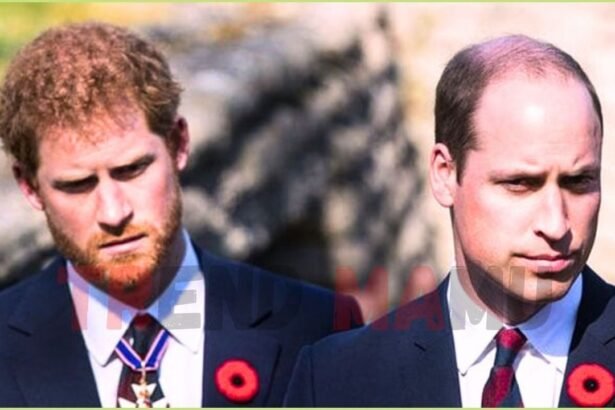 Prince William Urged to Follow Danish Royals to Handle Harry Royal Exit