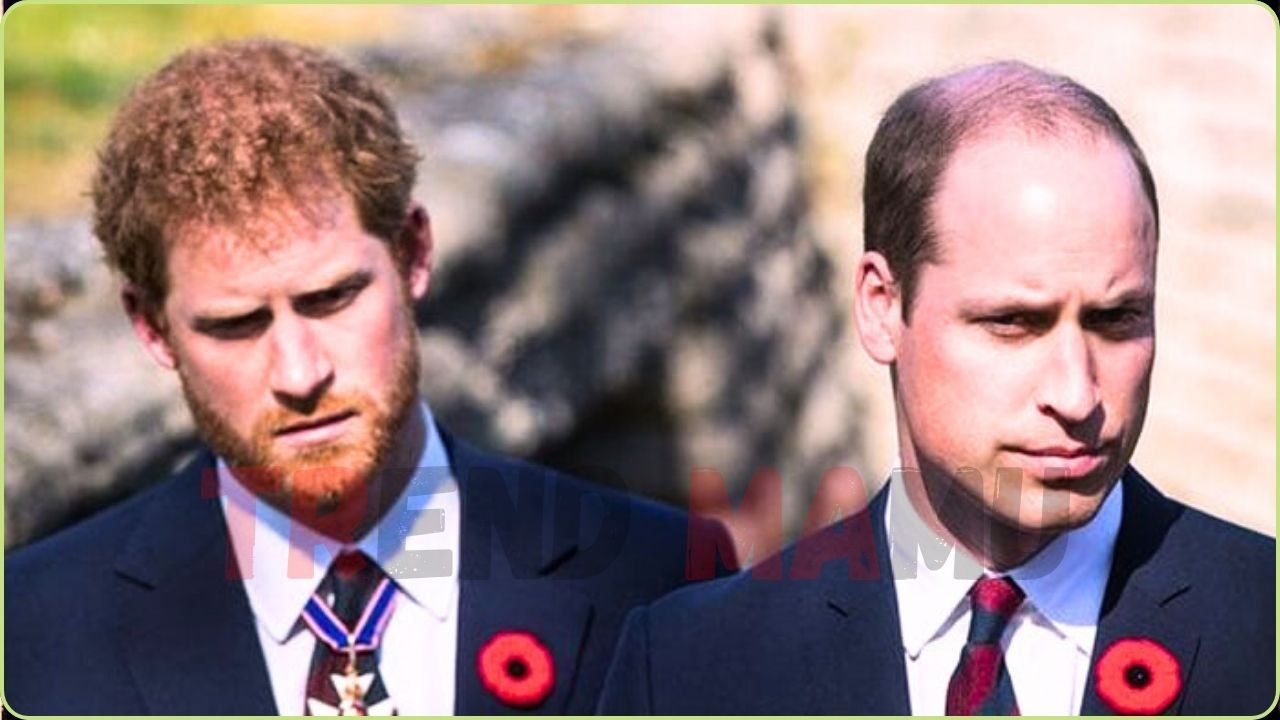 Prince William Urged to Follow Danish Royals to Handle Harry Royal Exit