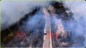 Syria Battles Worst Wildfires in Years Amid Drought Crisis