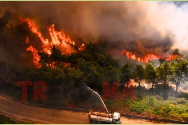 Syria Battles Worst Wildfires in Years Amid Drought Crisis