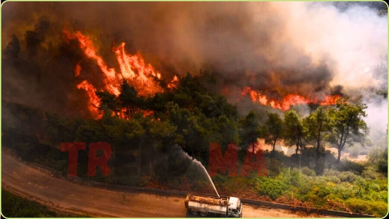 Syria Battles Worst Wildfires in Years Amid Drought Crisis