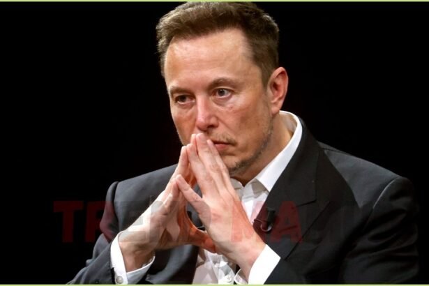 Elon Musk Clashes with Analyst Dan Ives Over Tesla Board Proposals