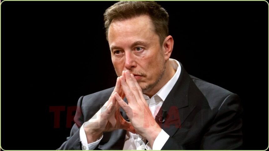 Elon Musk Clashes with Analyst Dan Ives Over Tesla Board Proposals