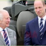 Prince William Feud with Harry: Why He Opposes King Charles Peace Talks