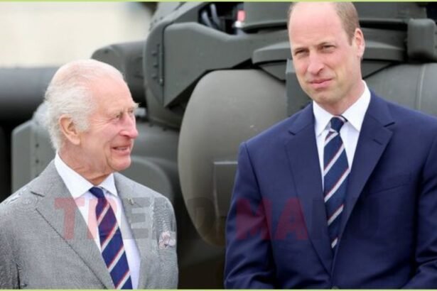 Prince William Feud with Harry: Why He Opposes King Charles Peace Talks