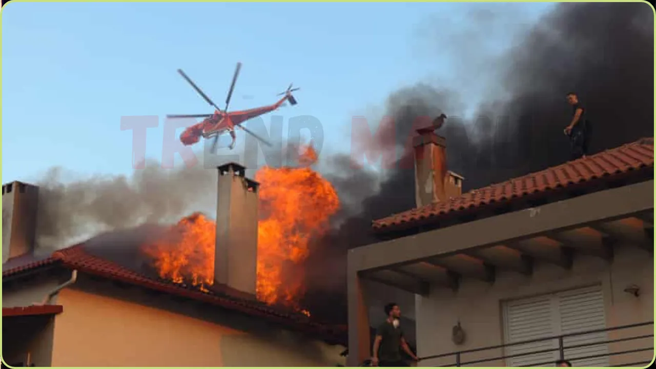 Wildfire Devastates Kryoneri Near Athens, Forcing Mass Evacuations