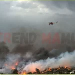 Wildfire Devastates Kryoneri Near Athens, Forcing Mass Evacuations