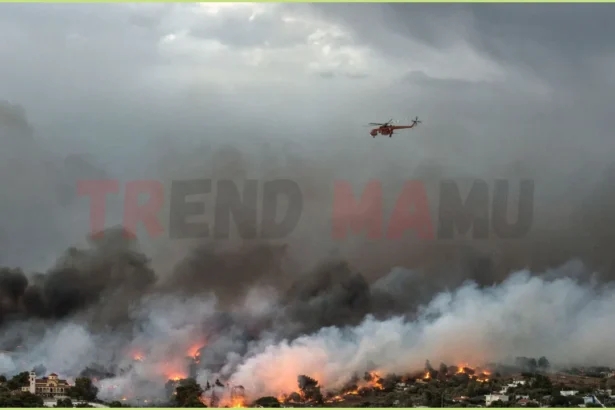 Wildfire Devastates Kryoneri Near Athens, Forcing Mass Evacuations