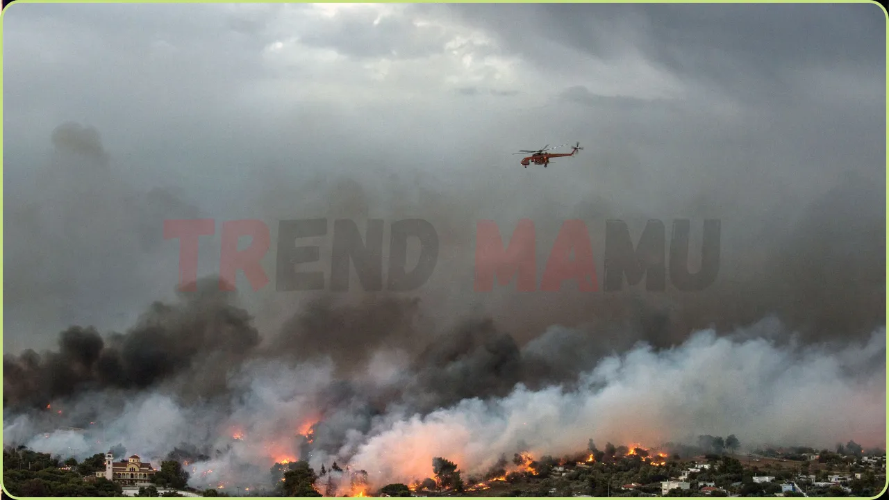 Wildfire Devastates Kryoneri Near Athens, Forcing Mass Evacuations
