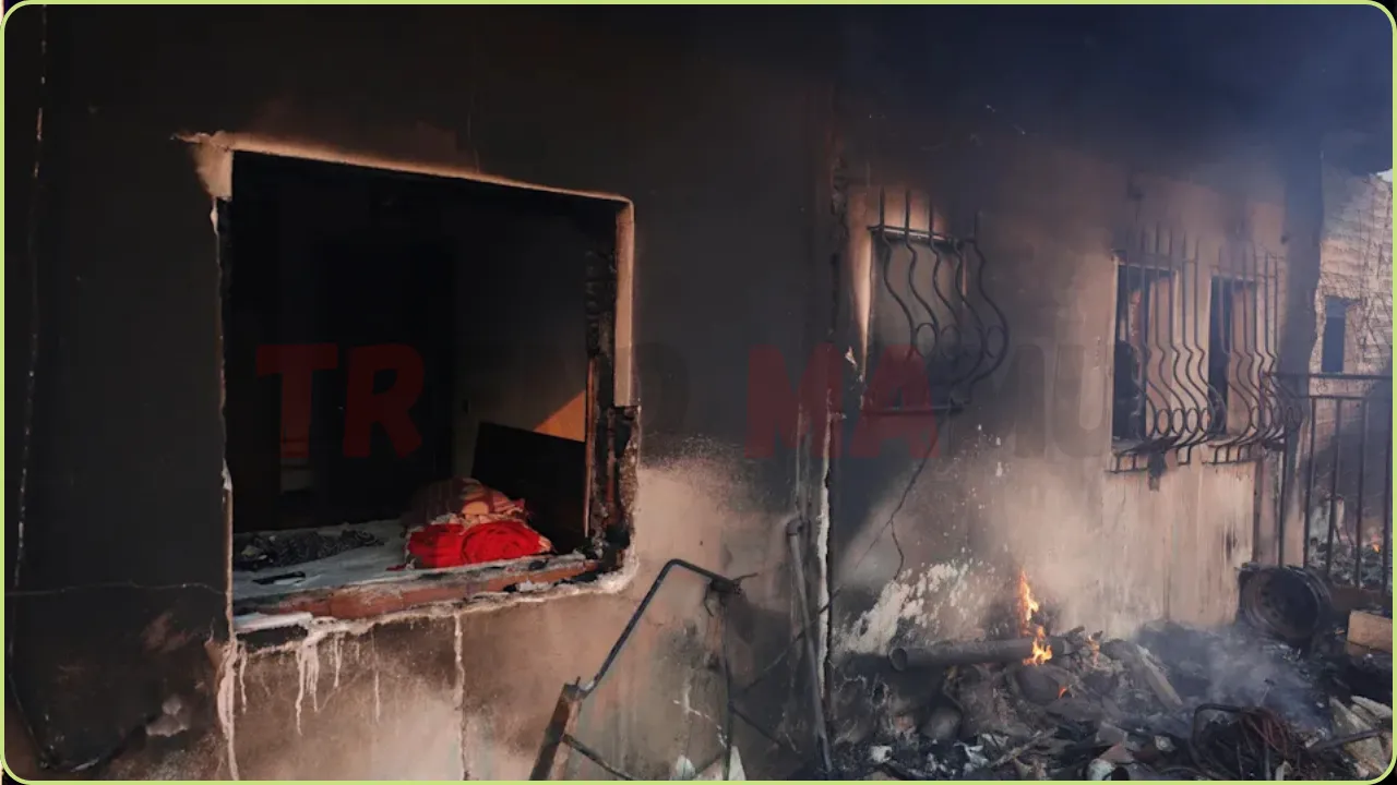 Wildfire Devastates Kryoneri Near Athens, Forcing Mass Evacuations