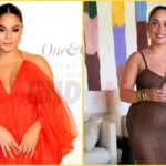 Vanessa Hudgens Stuns in Sheer Dress