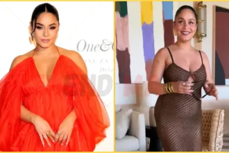 Vanessa Hudgens Stuns in Sheer Dress