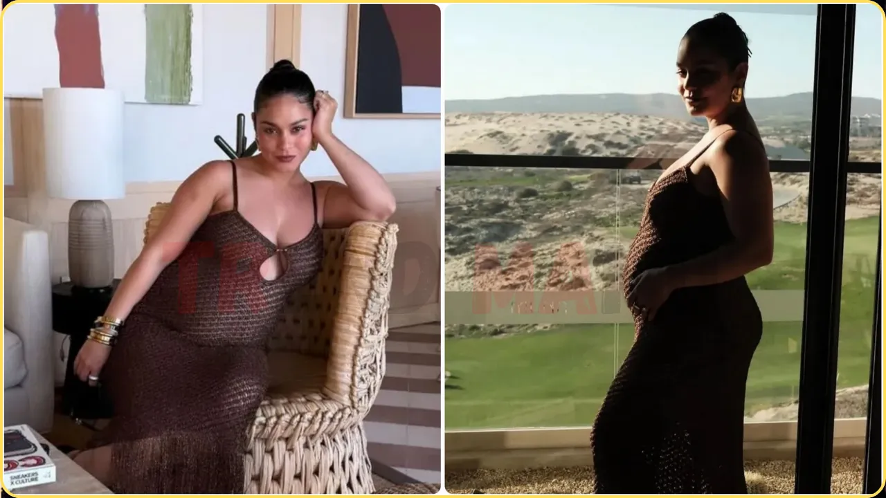 Vanessa Hudgens Stuns in Sheer Dress