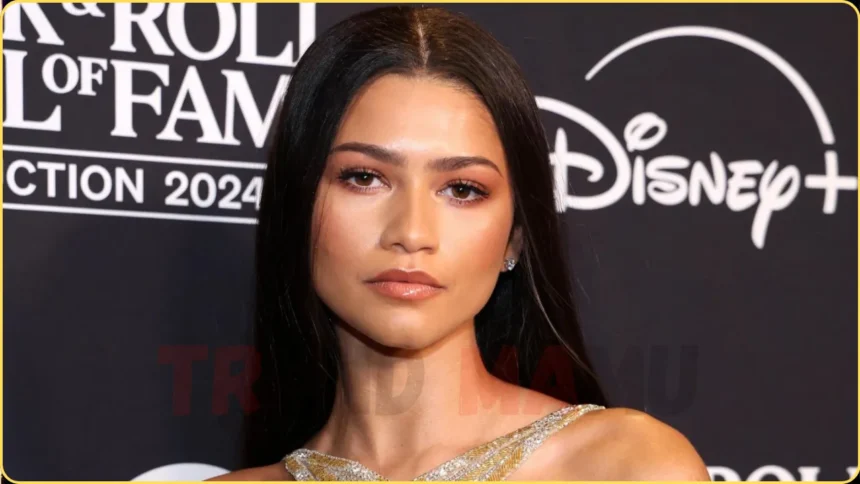 Zendaya Jaw-Dropping Dress Steals