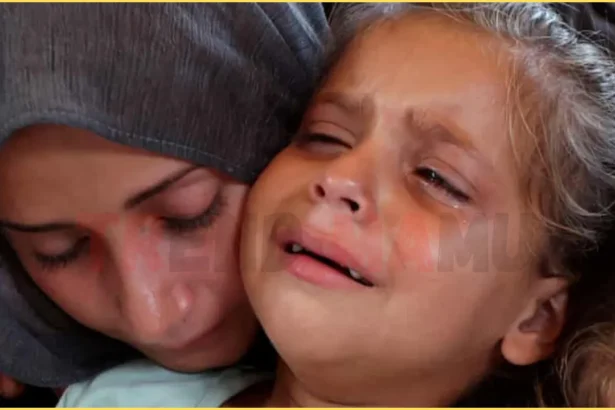 Horrific Gaza Aid Crisis: 91 Killed as US Envoy Pushes for Ceasefire