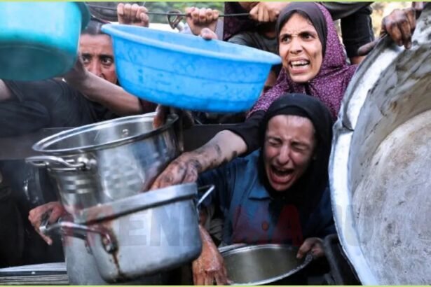 Shocking Gaza Tragedy 32 Dead as Hungry Crowds Face IDF Gunfire