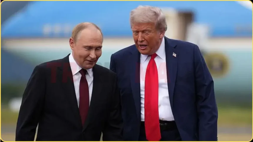 Trump Zelensky Putin Summit