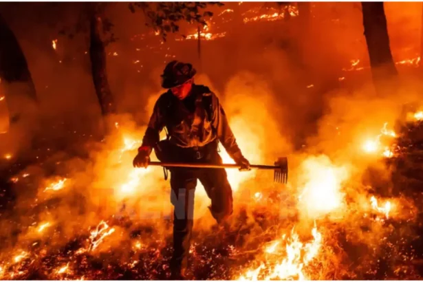 Wildfires Rage in California and Oregon