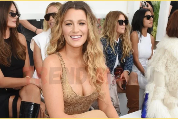 Blake lively shocking legal battle with youtuber