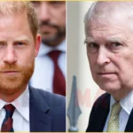 Prince Harry Explosive Punch-Up with Prince Andrew: Shocking Royal Feud Revealed!
