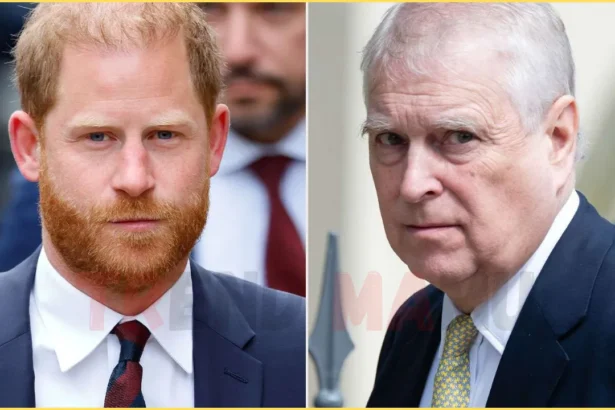 Prince Harry Explosive Punch-Up with Prince Andrew: Shocking Royal Feud Revealed!