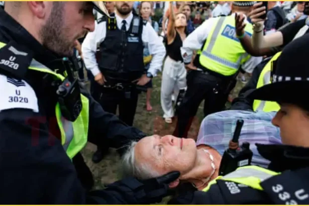 365 Protesters Detained Over Palestine Action Ban Whats Happening?