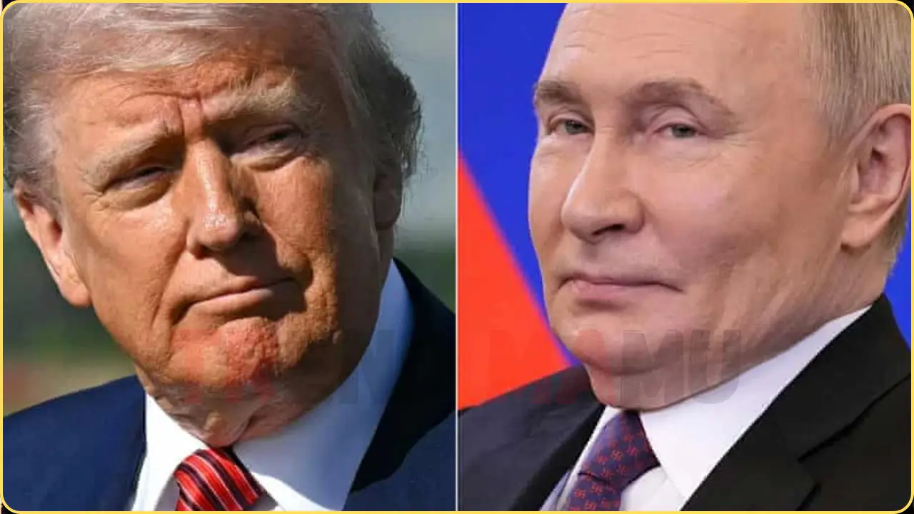 Trump and Putin to Discuss Shocking Land Swapping Plan