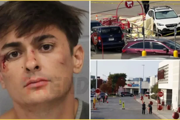 Shocking Texas Target Shooting