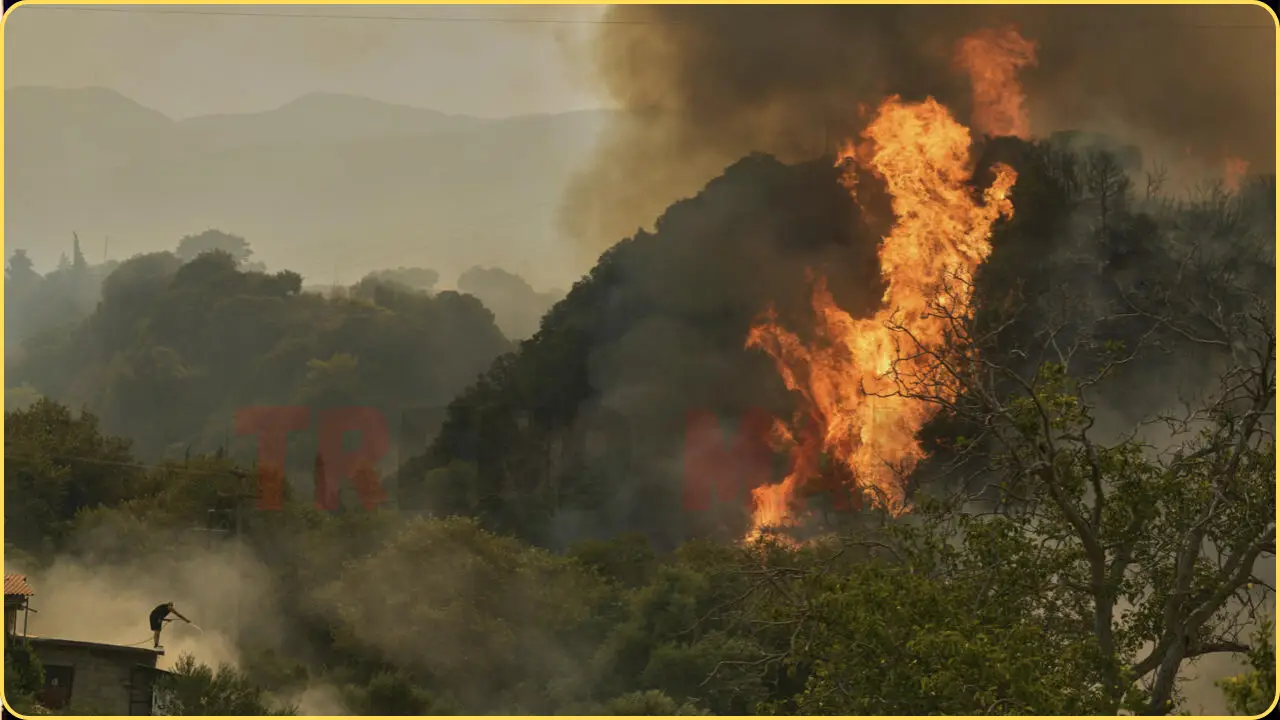 Wildfires Devastate Southern Europe