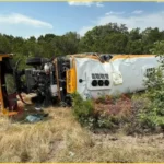 School Bus Crash Horror